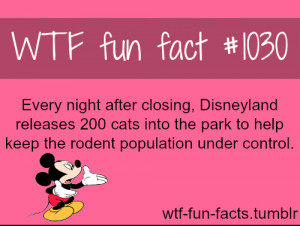 Disneyland cats army MORE OF WTF-FUN-FACTS are coming HERE funny and ...