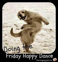 Friday Happy Dance! =)))