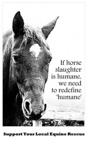 If horse slaughter is humane, we need to re-define 