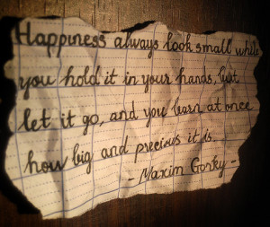 Happiness always looks small while you hold it – Happiness Quote