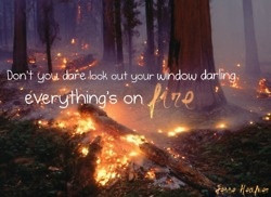 favorite song safe and sound! plus, its from the hunger games