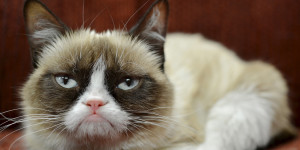 GRUMPY-CAT-facebook.jpg