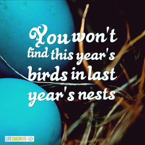 You Won't Find This Year's Birds In Last Year's Nests