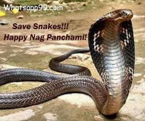 Save snakes naag panchami message