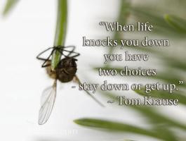 We were living in a tumultuous time, when the world was upside down ...