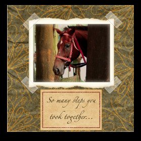 Sympathy Card for Loss of a Horse