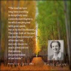 quote from rachel carson # environment more environment quotes rachel ...