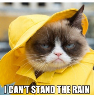 really like rain either, but you look so cute in your yellow rain ...