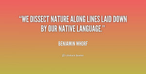 Copy the link below to share an image of this quote: