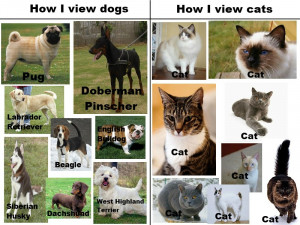 cats vs dogs 610x457 The Real View on Dogs and Cats