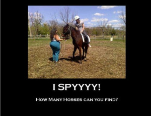 Horse Show Quotes http://www.sharenator.com/horse_and_pony_show/