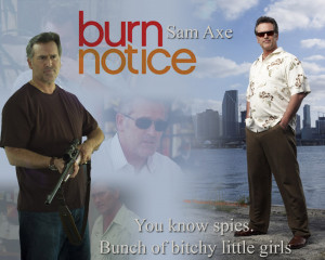 Burn Notice The Fall Of Sam Axe