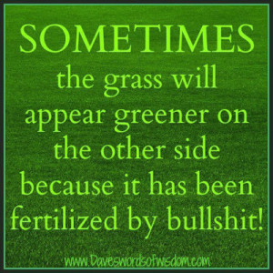 Sometimes the grass will appear greener on the other side because it ...