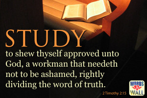 Bible Verses Discipline Timothy Study Wallpaper