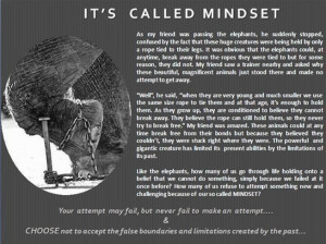Elephant's mindset - great lesson.