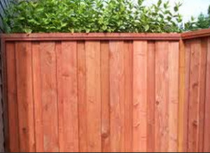 Live in Irving and Need a Professional Fence Staining?