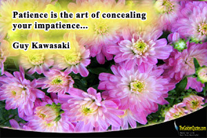 Patience is the art of concealing your impatience…