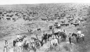 ... 1865 1890, American West, Cattle Drive, West Book, Cattle Industrial