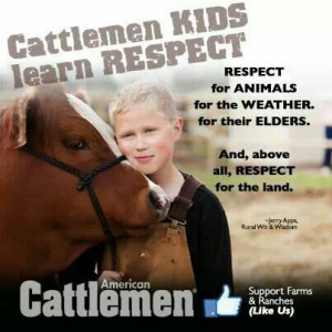 American Cattlemen