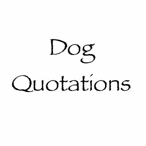 dogquotations.comdog-quotations-fb.png