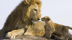 返回儿童桌面壁纸首页