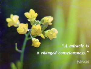11 2014 awareness change awareness change consciousness miracle quote ...