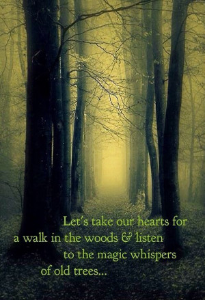 Let's take our hearts for a walk in the woods & listen to the magic ...