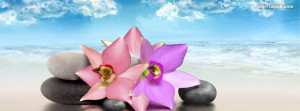 Relaxing Flowers on a Beach Facebook Cover Layout