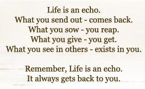 Story : Life is An Echo