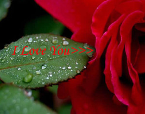 Love Quotes – Inspirational Pictures, Quotes and Motivational ...