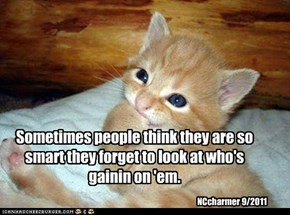 ... So Smart They Forget To Look At Who’s Gainin On’em. ~ Cat Quotes