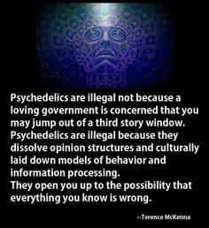 ... quotes terence mckenna trippy shit psychadelic quotes mindfulness