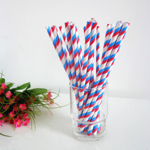Red Striped Paper Drinking Straws