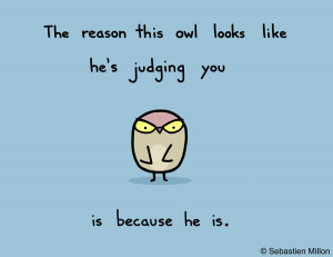 Judgemental Owl by sebreg