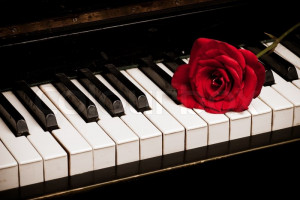 3558981-240248-piano-keyboard-and-rose]