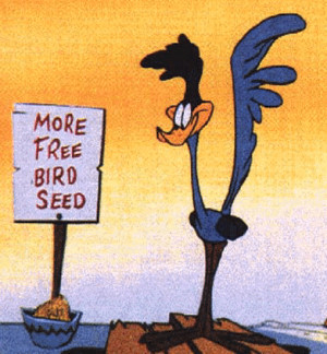 Wile E. Coyote and Road Runner - Warner Bros Animation Wiki
