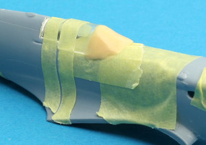 Preparing for painful plastic experiment...