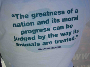 Gandhi Quotes Animals Animals are exposed to?