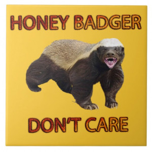 Honey Badger Don't Care, Funny, Cool, Nasty Animal Ceramic Tile