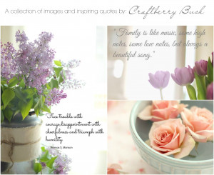 ... images, inspiring quotes and a camera strap GIVEAWAY courtesy of Canon