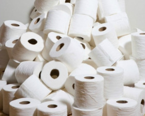 Toilet Paper quote #1
