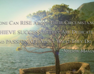 About Research Reviews Products FREE Guided Meditation Blog Login