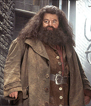 Robbie Coltrane as Rubeus Hagrid from Harry Potter