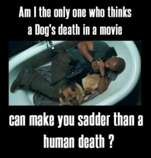 ... to Ahmed Hamoui on Facebook & “I am Legend” By Warner Brothers