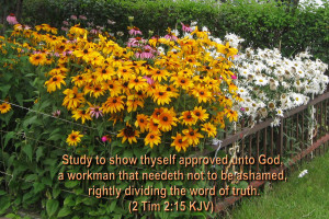 Timothy 2:15 – Word Of Truth Papel de Parede Imagem