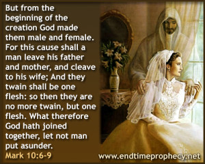 Biblical Marriage / Divorce / Adultery Graphic 05