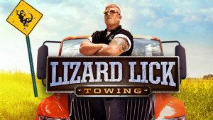 Related Pictures lizard lick towing