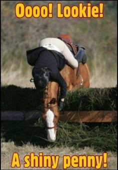 ... penny! Horse jumping refusal fall cross country horseback riding fail
