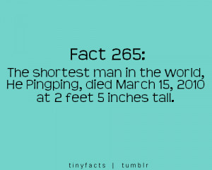 The shortest man in the world : Fact Quote
