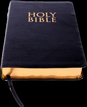 ... Bible for good reason. It contains an excellent synopsis of the Gospel